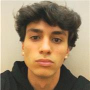 Laureando in a ingegneria informatica offre ripetizioni in matematica, fisica, inglese